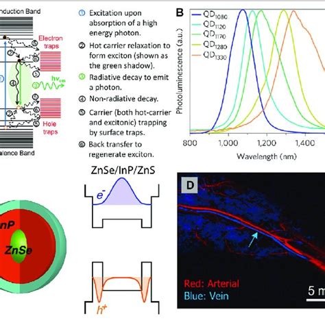 An Illustrated Summary Of Significant Cdt Pdt Ptt A I Schematic