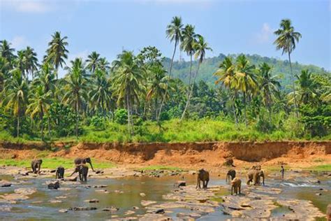 Daagse Rondreis Grand Tour Sri Lanka Vakantie Anuradhapura Sri