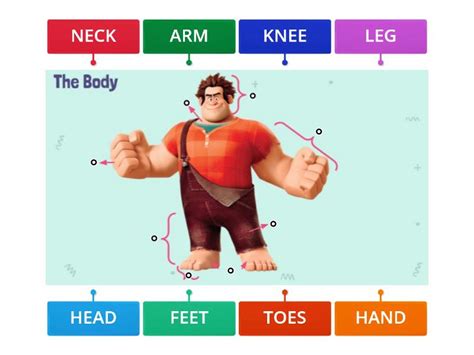 THE BODY 1st GRADE Labelled Diagram