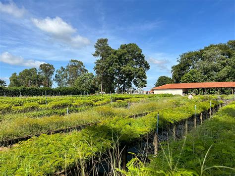 Semil - Secretaria de Meio Ambiente, Infraestrutura e Logística de SP