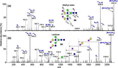 Negative Ion Collisioninduced Dissociation Cid Spectra Of