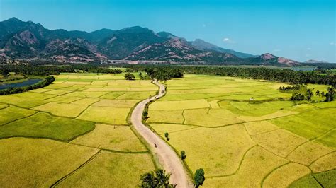 Tenkasi | Kasi of the South | Tamil Nadu Tourism