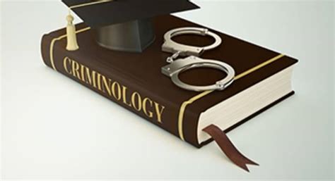 Criminology Degree Requirements: All you need to know - Universities Abroad