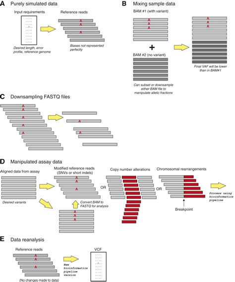 Recommendations For The Use Of In Silico Approaches For Next Generation