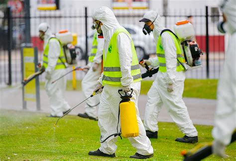 Fumigaciones Guadalajara Control De Plagas Fumigaciones Zapopan