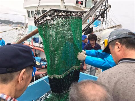 小名浜漁港 今年初のさんま水揚げ 海と日本project In ふくしま