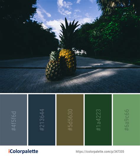 create inspire  share awesome color schemes icolorpalette