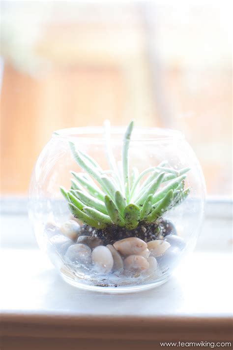 mini terrarium hej doll simple modern living  jessica doll