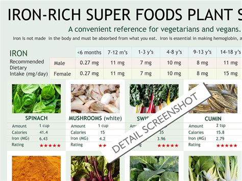 Iron Rich Vegan Diet Chart Digital Download Pdf Ron Levels Chart Plant Food Iron Rich Iron