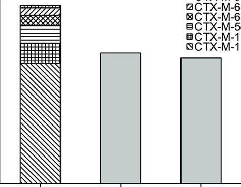 Distribution Of Extended Spectrum β Lactamases Esbls Encoding Genes Download Scientific