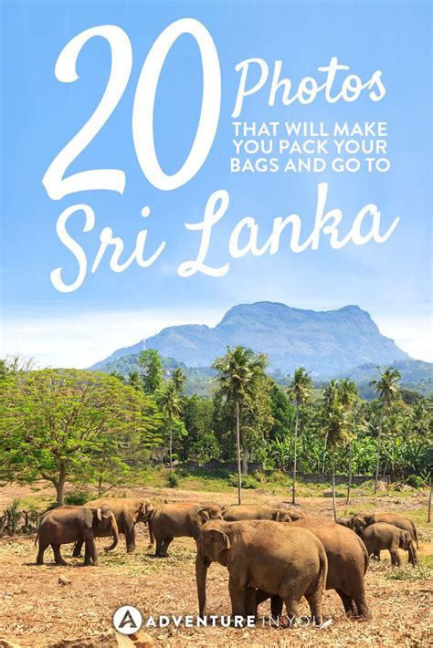 20 Photos That Will Make You Pack Your Bags And Go To Sri Lanka Artofit