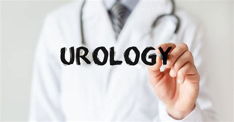 Urology And Nephrology Whats The Difference Alliance Urology