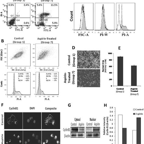 Effect Of Aspirin On Tumour Cell Survival Induction Of Apoptosis And