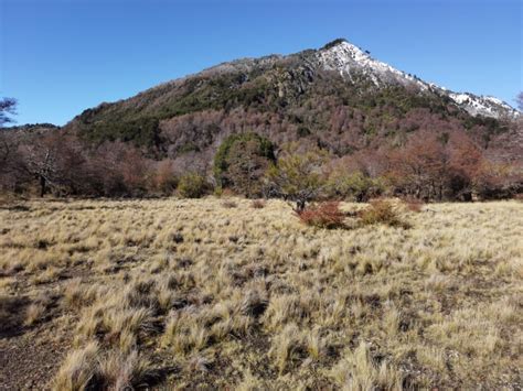 Terreno M Sector Caracoles Malalcahuello Loteo Exclusivo