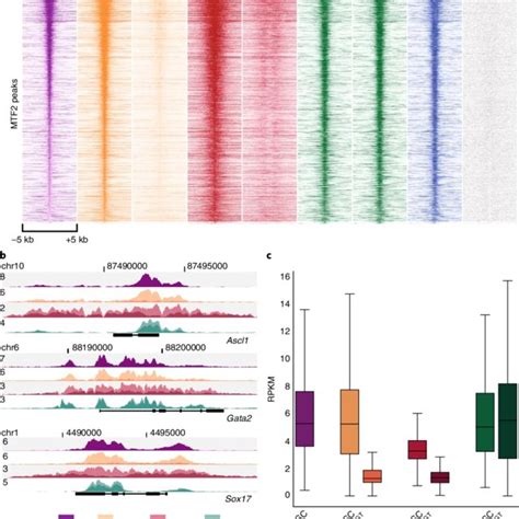 Extended Characterization Of Chip Seq Data A B Heatmap Left And Download Scientific Diagram