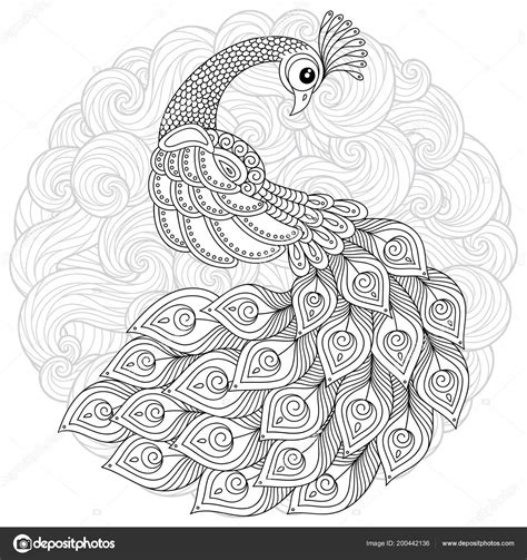 Realistic Peacock Coloring Page