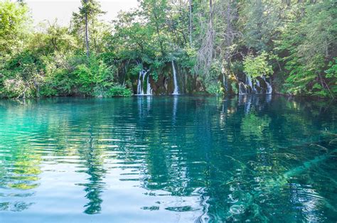 Incredible Weeki Wachee Springs State Park Kayaking Paddlers Journey