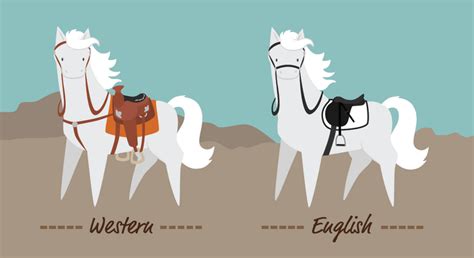 English vs Western Riding: What’s the Difference ...