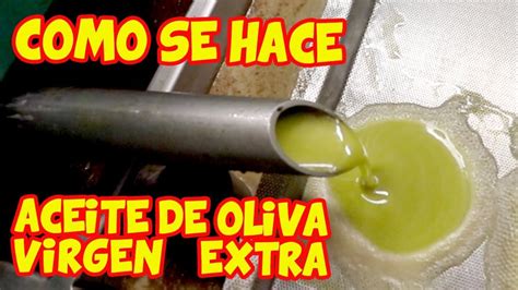 Cómo Se Elabora El Aceite De Oliva