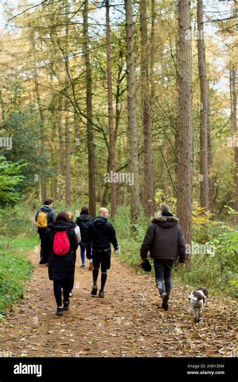 A Group Of People Hike Through The Woods During A Local Sponsored Walk