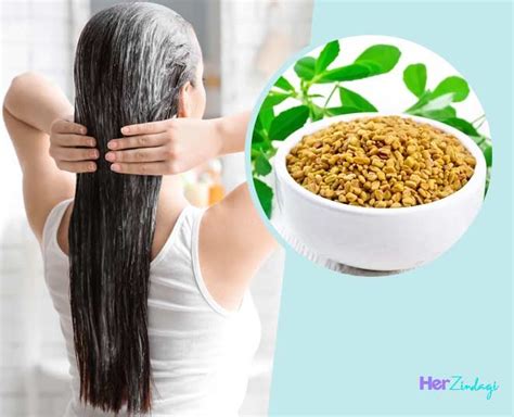 How To Use Methi For Hair How To Use Methi For Hair Herzindagi