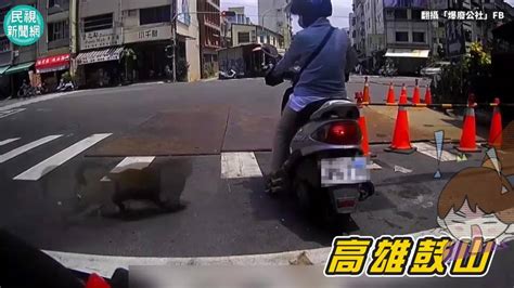 影／高雄女騎士「當街遭搶」 屁孩猴犯案落跑畫面曝光 民視新聞影音 Line Today