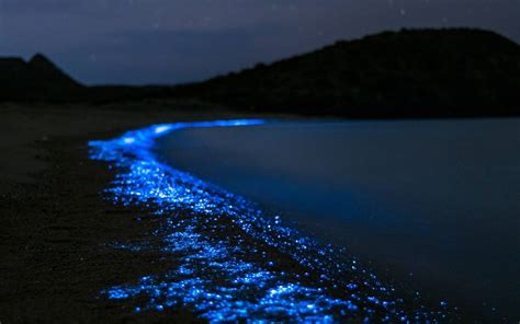 Playas Con Bioluminiscencia En Baja California Sur Cerca De Chihuahua