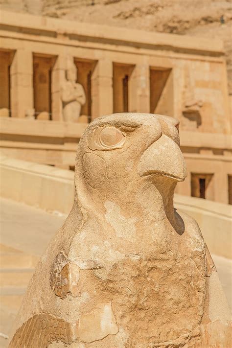 Horus Statue N Front Of Famous Mortuary Temple Of Hatshepsut Photograph