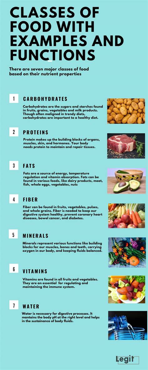 The Basic Classes Of Food With Examples Functions And Pictures