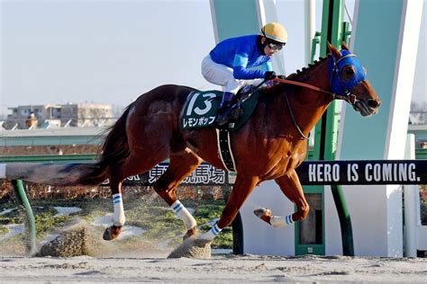 写真1 根岸s覇者レモンポップがフェブラリーs出走へ 鞍上は坂井を予定 競馬ニュース・特集なら東スポ競馬