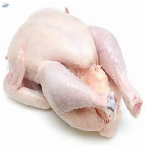 Halal Whole Frozen Chicken For Restaurant Packaging Type Carton At