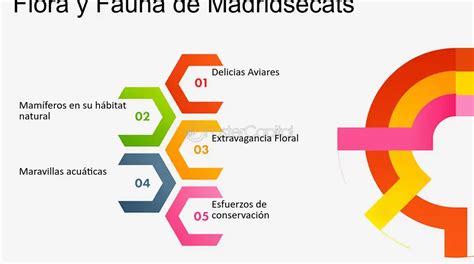 Pastizales Clima Explorando La Riqueza De Flora Y Fauna En El Ecosistema