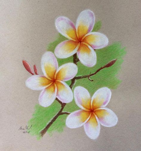 Soft Pastel Flower Drawing