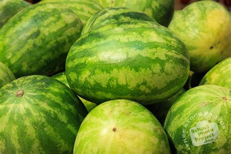 Seedless Watermelon FREE Stock Photo Image Picture Sweet Favorite