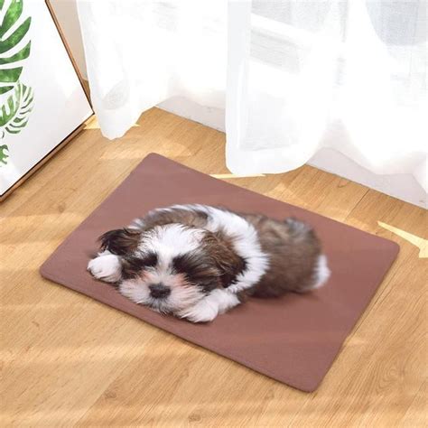 Non Slip Dog Print Floor Mats 40x60cm Printed Floor Mat Dog Print