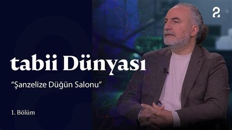 tabii Dünyası Şanzelize Düğün Salonu 1 Bölüm YouTube