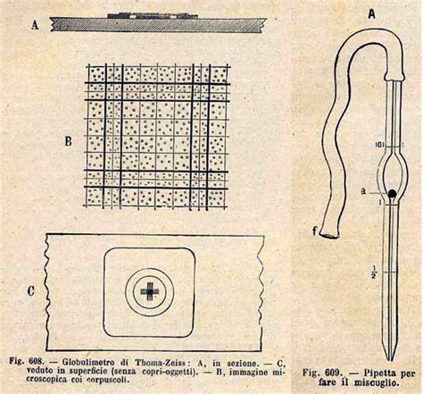 Storia Degli Esami Di Laboratorio Histoire Des Tests De Laboratoire