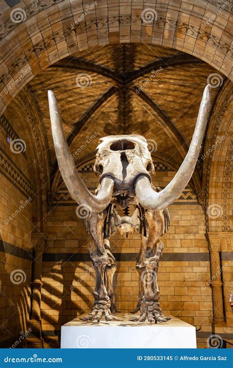 Woolly Mammoth Skeleton Inside the Natural History Museum of London ...