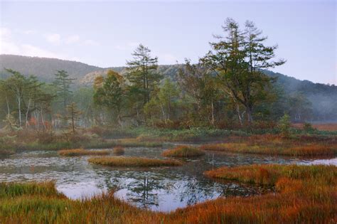 Yun Free Stock Photos No 514 Autumn Of The Marshland Japan Gunma