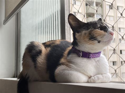 The Internet Is In A Total State Of Absolute Shock After Skiddykitty Finally Revealed THIS!