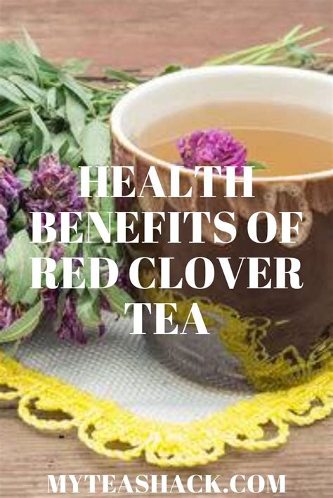 Red Clover Tea Benefits 2021 My Tea Shack Red Clover Tea Tea