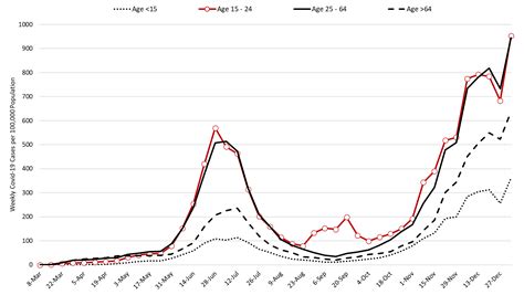 Covid Forecast Models Report For Arizona January Update Mel And