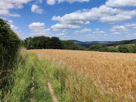 Field Of Wheat Near Wenlock Edge Mat Fascione Geograph Britain And