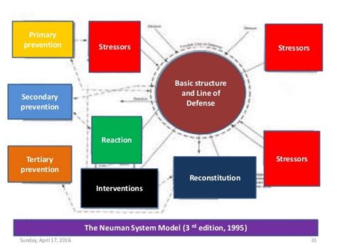 Betty Neuman Model Diagram