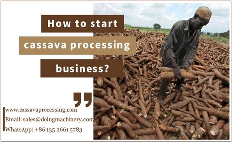 How To Start Cassava Processing Business Blog