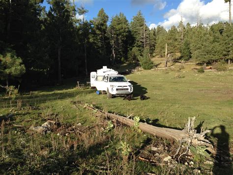 Southern New Mexico Explorer: Forest Road 430 Camping- Lincoln National ...