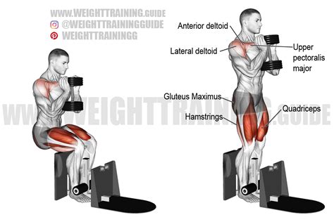 Sissy Squat Ultimate Guide Biomechanics Benefits Video Off