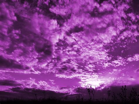 Purple Clouds Purple Sky Purple Backgrounds Clouds