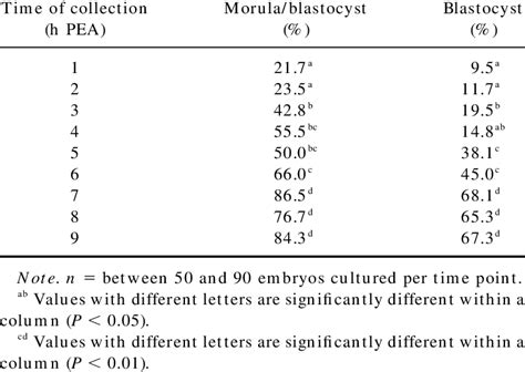 Development To The Morula Blastocyst Stage Of Hamster One Cell Embryos