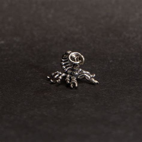 Charm De Plata De Ley Con Hor Scopo Escorpio D Para Pulsera Etsy Espa A